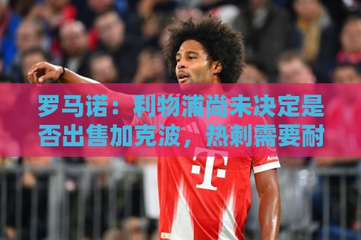 罗马诺:利物浦尚未决定是否出售加克波,热刺需要耐心等待 罗马诺:利物浦尚未决定是否出售加克波,热刺需要耐心等待
