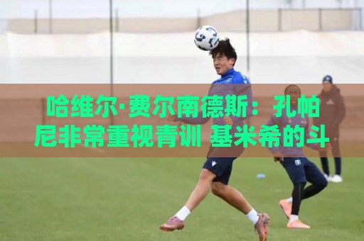 哈维尔·费尔南德斯:孔帕尼非常重视青训 基米希的斗志令人难忘 哈维尔·费尔南德斯:孔帕尼非常重视青训 基米希的斗志令人难忘