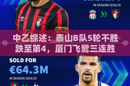 中乙综述:泰山B队5轮不胜跌至第4,厦门飞鹭三连胜终结无缘登顶 中乙综述:泰山B队5轮不胜跌至第4,厦门飞鹭三连胜终结无缘登顶