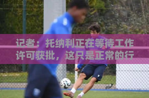 记者:托纳利正在等待工作许可获批,这只是正常的行政流程 记者:托纳利正在等待工作许可获批,这只是正常的行政流程