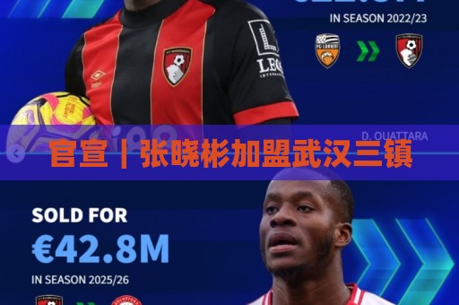 官宣｜张晓彬加盟武汉三镇