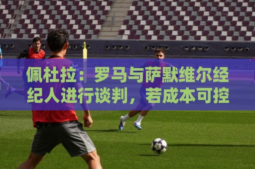 佩杜拉：罗马与萨默维尔经纪人进行谈判，若成本可控很想签下他