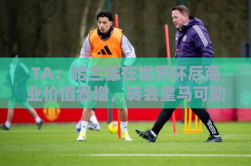 TA:哈兰德在世界杯后商业价值暴增,转会皇马可助其成为新的梅罗 TA:哈兰德在世界杯后商业价值暴增,转会皇马可助其成为新的梅罗