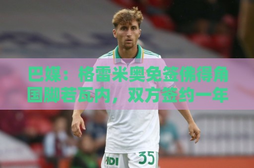 巴媒:格雷米奥免签佛得角国脚若瓦内,双方签约一年半 巴媒:格雷米奥免签佛得角国脚若瓦内,双方签约一年半