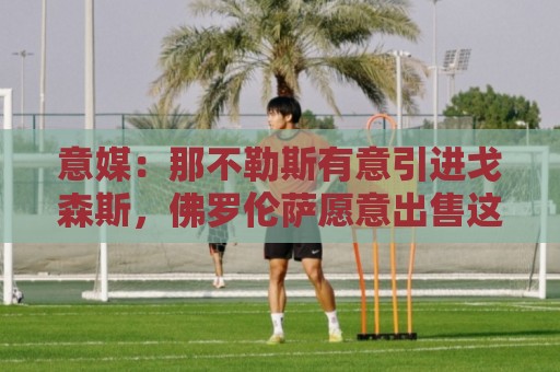 意媒:那不勒斯有意引进戈森斯,佛罗伦萨愿意出售这名高薪球员 意媒:那不勒斯有意引进戈森斯,佛罗伦萨愿意出售这名高薪球员