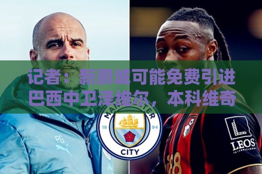 记者：新鹏城可能免费引进巴西中卫泽维尔，本科维奇会被放弃