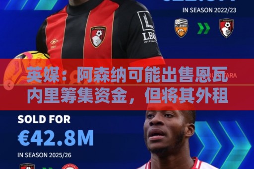 英媒:阿森纳可能出售恩瓦内里筹集资金,但将其外租是最好选择 英媒:阿森纳可能出售恩瓦内里筹集资金,但将其外租是最好选择