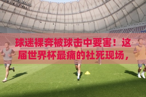 球迷裸奔被球击中要害！这届世界杯最痛的社死现场，你准备好了吗？(球迷裸奔)