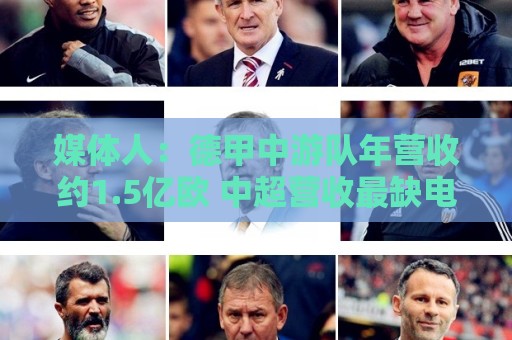 媒体人:德甲中游队年营收约1.5亿欧 中超营收最缺电视转播和卖人 媒体人:德甲中游队年营收约1.5亿欧 中超营收最缺电视转播和卖人